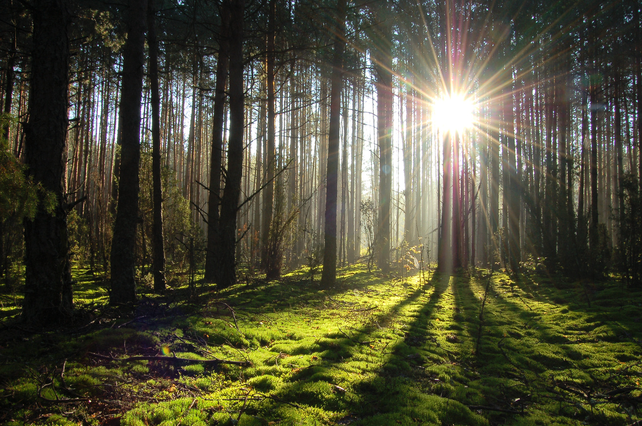 全球首个为中国改名的国家,当地美女泛滥,是中国男人的天堂