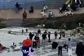 /"48e5dd65a6ddf1ca0e16bdfab1d1245f.jpg/"