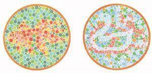 考驾照的色盲测试图,你能否看清里面的图案和