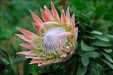 [美文精选]世上所有的福气，都是你积攒的善良