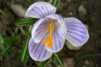 感悟励志美文@人和人之间， 就一个字！