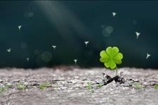 【美文精选】男人越穷，越要学会在这三方面投资自己，会越来越有出息