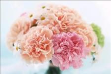 「美文写手Q」人到中年，再苦也要舍得花这“四种钱”