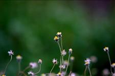 光明网：28个难忘的句子：暖心励志，让人生多一些淡定从容