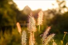 【说乡情】茫茫人海，为何偏偏让我遇到你？