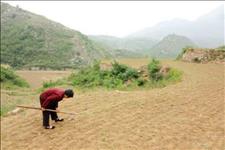 [温柔不美]姑娘离婚后带儿子回娘家，无意听到院子中父母对话，她后悔落泪