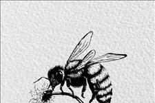 美文写手Q■世界上最牛的句子，超精辟超现实，简直太绝了