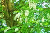 「与然讲娱乐」心情忧郁的个性签名，句句箴言，看完瞬间放松心情