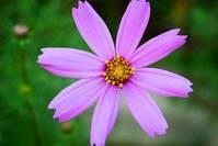 宏睿谈娱乐：让人受益匪浅的励志语录，犀利精辟，有没有戳中你的心