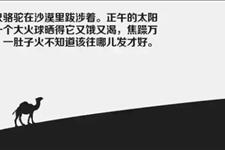 一朵暖暖：当你心情不好生气的时候，看看这只骆驼，就再也不生气了