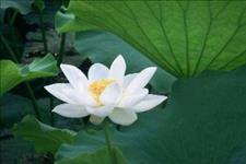 好文章阅读：给你4个不生气的智慧