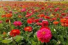 [阿飘]跟厚道人做事，与明白人讲理，和善良人交友