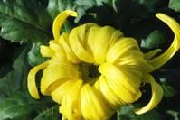 天天励志正能量■我没有什么可依靠，我只能靠谱