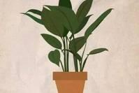 心灵悦读@2019致自己一句很经典的霸气句子 总有一句戳中你心灵