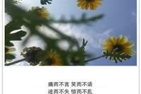 情话语录：看清了很多人 ，却不能随意拆穿，讨厌着很多人