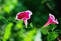 人生励志美文■人的幸福与快乐，源自于好心情！