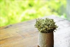 「西纳维思」世界上最开心的两句话，解开无数人心结！