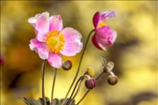 【夜话部落】人过四十，还在做三件事的人，注定一事无成，别不信