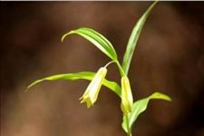 感悟哲理美文：稳定的情绪，是最好的教养