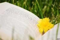 「光明网」有内涵的阳光女生签名，犀利精辟，哪一句让你扎心了