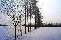 「文娟滴励志语日结」有些话，藏在心里更适合；给事留一个机会，给人留一个