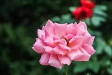 [笑笑美妞]这十封信送给正处在奔六奔七奔八路上的你，写得太好了！