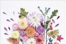 每日分享励志语录■治愈自己正能量的话，句句都是心灵鸡汤