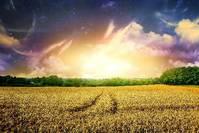 #晓兰育儿小知识#适合发朋友圈的早安短句 一句比一句戳心 哪一句说到你心坎