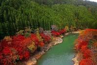 说时尚的紫楠@最有意境的句子，句句都很走心，让人一看就心痛