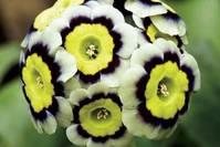 「宇录良言」现实接地气的说说，蕴含深刻道理，读读醒悟人生