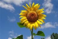 光明网@触动心情的情感语录，句句精致，让人心寒