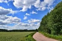 【光明网】几句触动心灵的句子，句句动人心弦，有没有一句说的是你