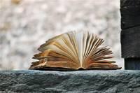 光明网：人生，身安不如心安；路宽不如心宽，句句经典