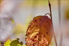 「美文杂选」你讨好了别人，谁来讨好你