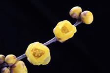 #美文写手Q#请别去打扰，那个不愿理你的人