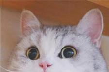 【光明网】喜当爹！男子亲自做媒，把怀孕情妇嫁给自己好兄弟……