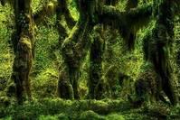 依美娱乐：2019最火的微信签名，句句大实话，哪一句说到你心坎里了