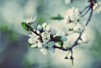 「玉亮说娱乐」发自内心感慨的说说，简短又耐人寻味，让人看了一眼就爱上