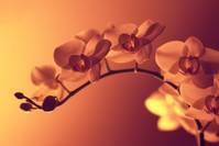 「宏睿谈娱乐」发自内心感慨的说说，句句经典至极，读完让人泪目