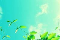 朗毅谈娱乐■最走心的情感经典句子，句句让人折服，送给心累迷茫的你