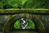 #朗毅谈娱乐#这些句子说给女生听，精辟耐回味，送给心累迷茫的你