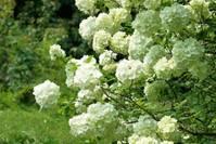 「旭日阳光」写入心坎上的爱情短句,句句深刻,值得细细品味