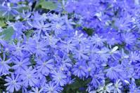 「治愈系美女」透彻走心的人生感悟句子,句句透彻,读完获益匪浅