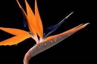 [女子健身]人和人之间，就一个字？