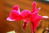 「人生阅历分享」让人受益匪浅的感悟句子，句句走心，经典至极