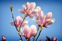 【跑步好吧】爱情中伤感的说说，句句深刻入心，读完让人泪目