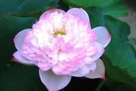 生活万万千：励志走心的句子，穷、才是自己拼搏的理由，句句经典