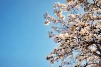 【娱乐真的妙】写给傻傻的自己的说说，句句充满智慧，读完真的好难过