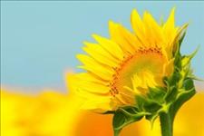 「中国中医科学院门诊部」感恩的情最真，感恩的心最美