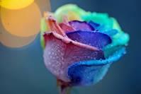 乾谈时尚@朋友圈努力励志的句子，经典有深度，送给心累的人